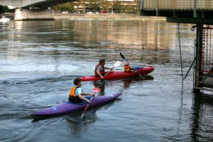 Rheinbilder klein – 227 1 Rheinbilder klein – 227