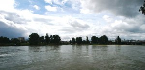 Rheinbilder klein – 381