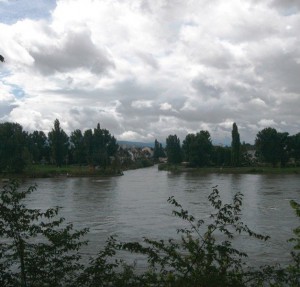 Rheinbilder klein – 384