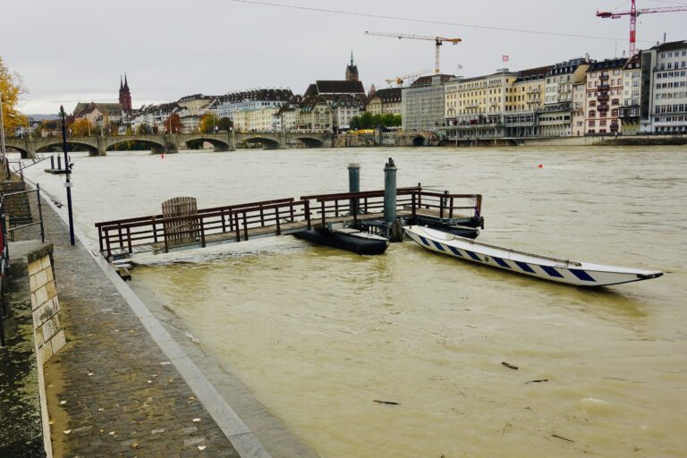 Rheinspaziergang 16.11.2023