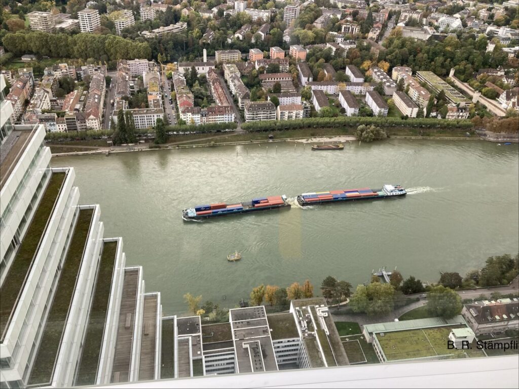 Basel im Fluss – Blick vom Roche Tower