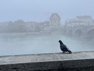 Basel und der Rhein im Nebel